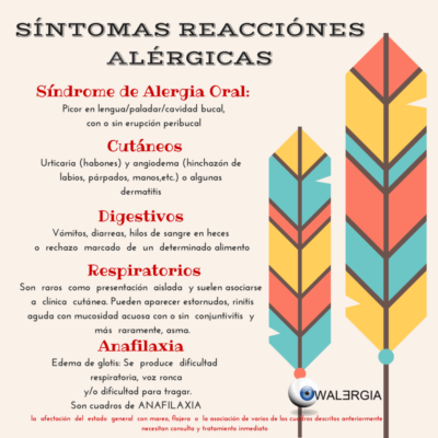 Qu Es La Alergia A La Avellana Cu les Son Los S ntomas De La Qu Es La Alergia A La Avellana Cu les Son Los S ntomas De La