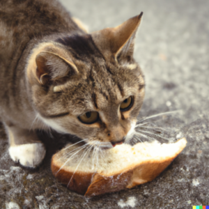 ¿Los gatos pueden comer pan?