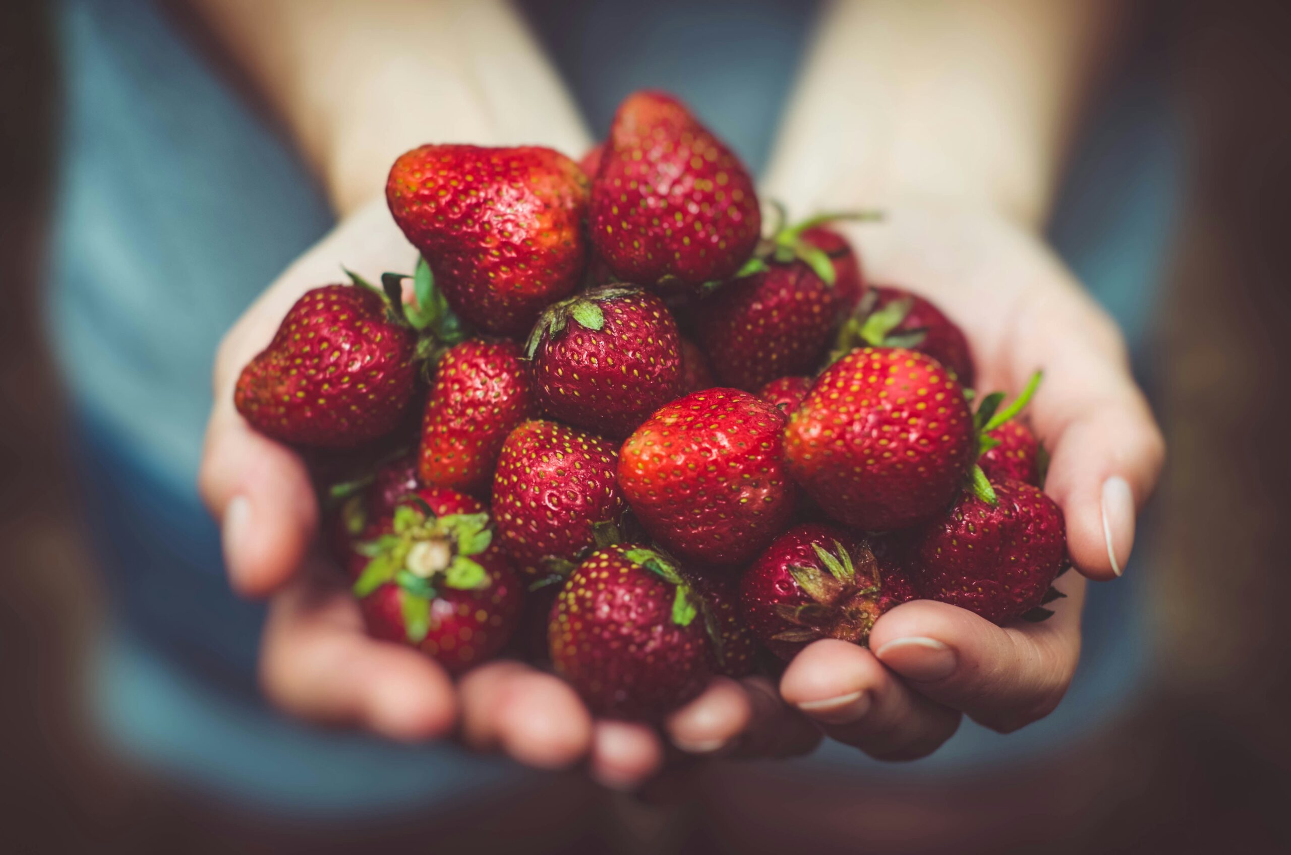Para recibir beneficios de comida en miami food stamps