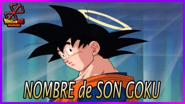 qué significa goku - CONADEIP