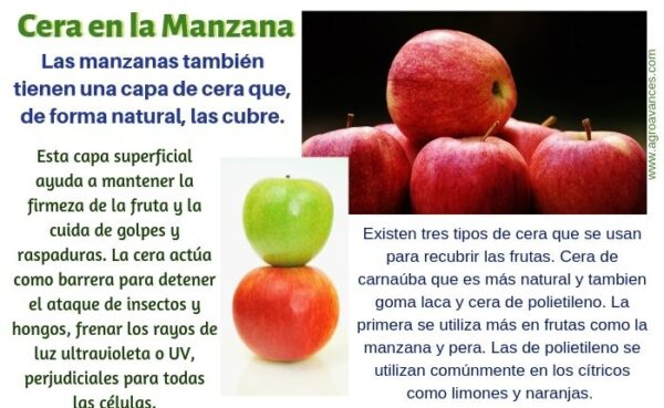 qué significa una manzana - CONADEIP